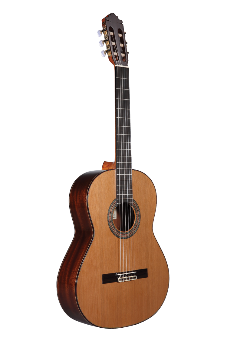 Altamira guitars hotsell