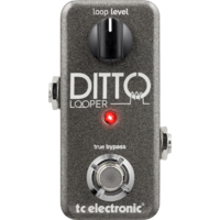 TC ELECTRONIC Ditto Looper