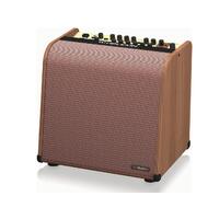 TC HELICON Harmony V100 Acoustic Amp