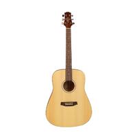 ASHTON D20 NTM Acoustic Guitar + APWCC Hard Case Guitar Pack