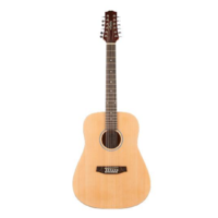 ASHTON 12 String Dreadnought Guitar D20/12NTM