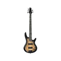 Ibanez Gio SR205SM Natural Grey Burst 5-String Bass Guitar