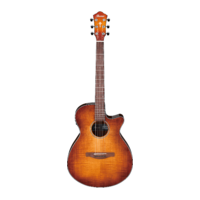 IBANEZ AEG70 VVH Acoustic Electric Guitar
