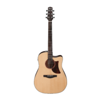 Ibanez AAD170CE LGS Advanced Acoustic Guitar