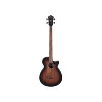 IBANEZ AEGB24E Acoustic Bass Guitar