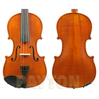 GLIGA I Violin Outfit Antique Finish - 4/4 size