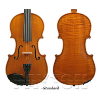 GLIGA I Violin Outfit Standard Finish - 4/4 size