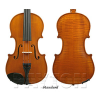 GLIGA I Violin Outfit Standard Finish - 4/4 size