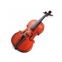 RAGGETTI RV-2 Violin Outfit - 1/2 size