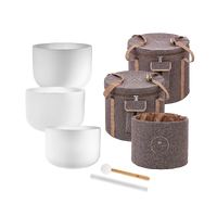 MEINL Sonic Energy Crystal Singing Bowl 3Pc Chakra Set CSBMSETCEG