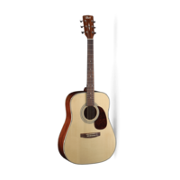 CORT Earth 70 Open Pore Acoustic Guitar Pack