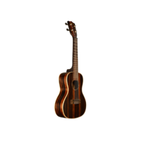 KALA Ebony Concert Ukulele