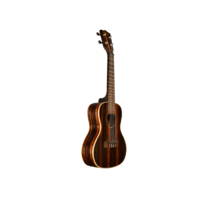 KALA Ebony Tenor Ukulele