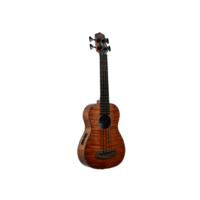 KALA Exotic Mahogany Acoustic Electric Bass Ukulele