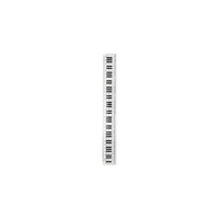 Ruler - 30cm Keyboard Design Clear