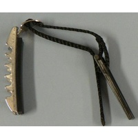 Dunlop WN12 curved Capo