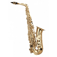 ZO Academy  Eb Alto Saxophone