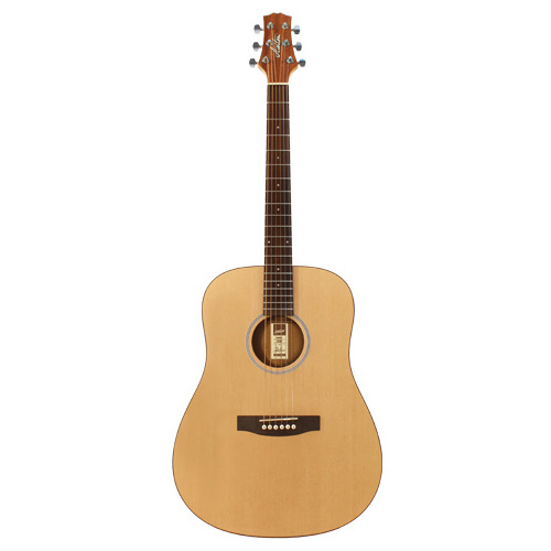 ASHTON D20S NTM Acoustic Guitar With Ashton APWCC Hardcase 