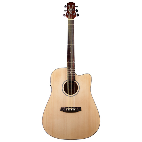 Ashton guitar cheap