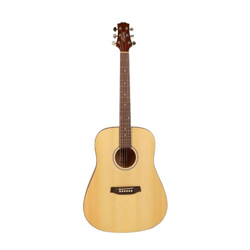 ASHTON D20 NTM Acoustic Guitar + APWCC Hard Case Guitar Pack