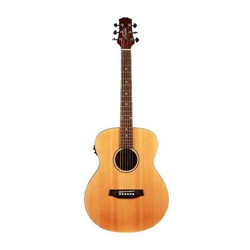 Ashton mini guitar clearance