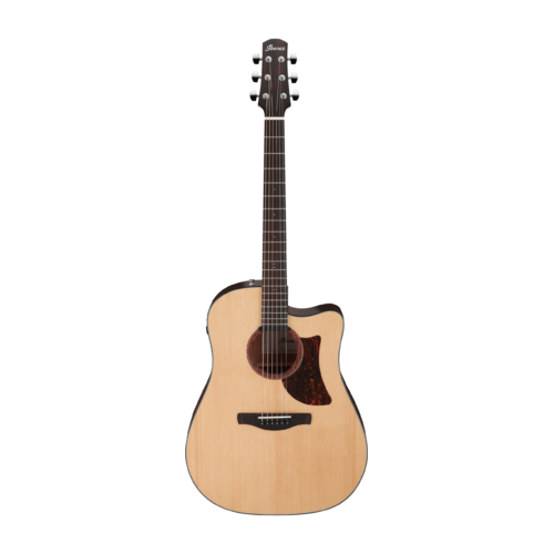 Ibanez AAD170CE LGS Advanced Acoustic Guitar