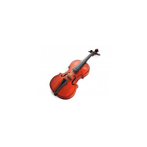 RAGGETTI RV2 Violin Outfit - 1/2 size