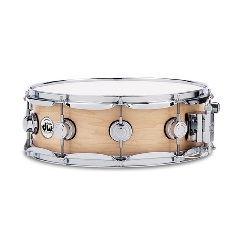 DW Collectors Maple 14x5.5 Inch Satin Oil Snare Drum