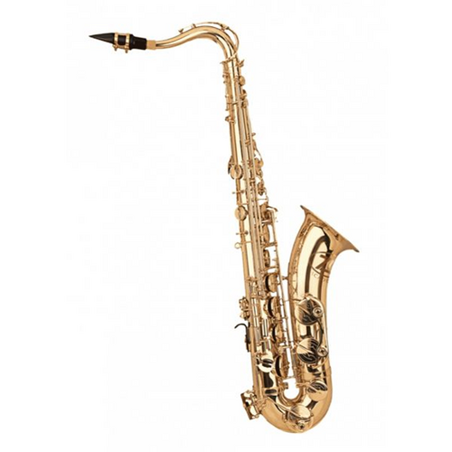 ZO Academy  Bb Tenor Saxophone